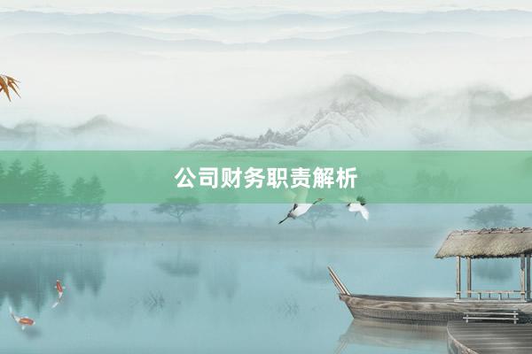 公司财务职责解析